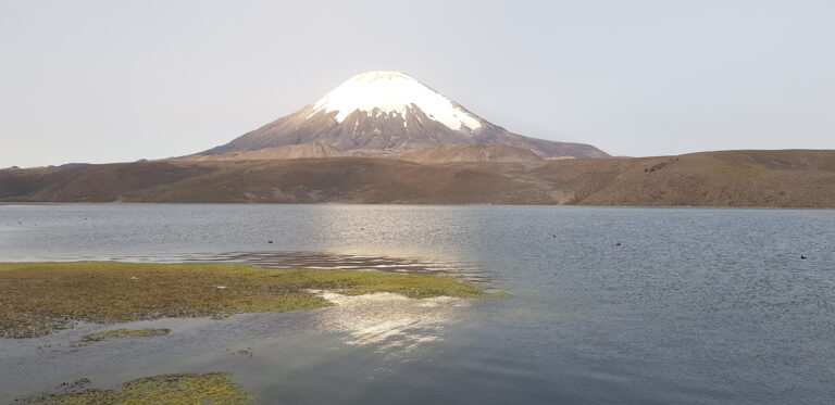 Imagen1